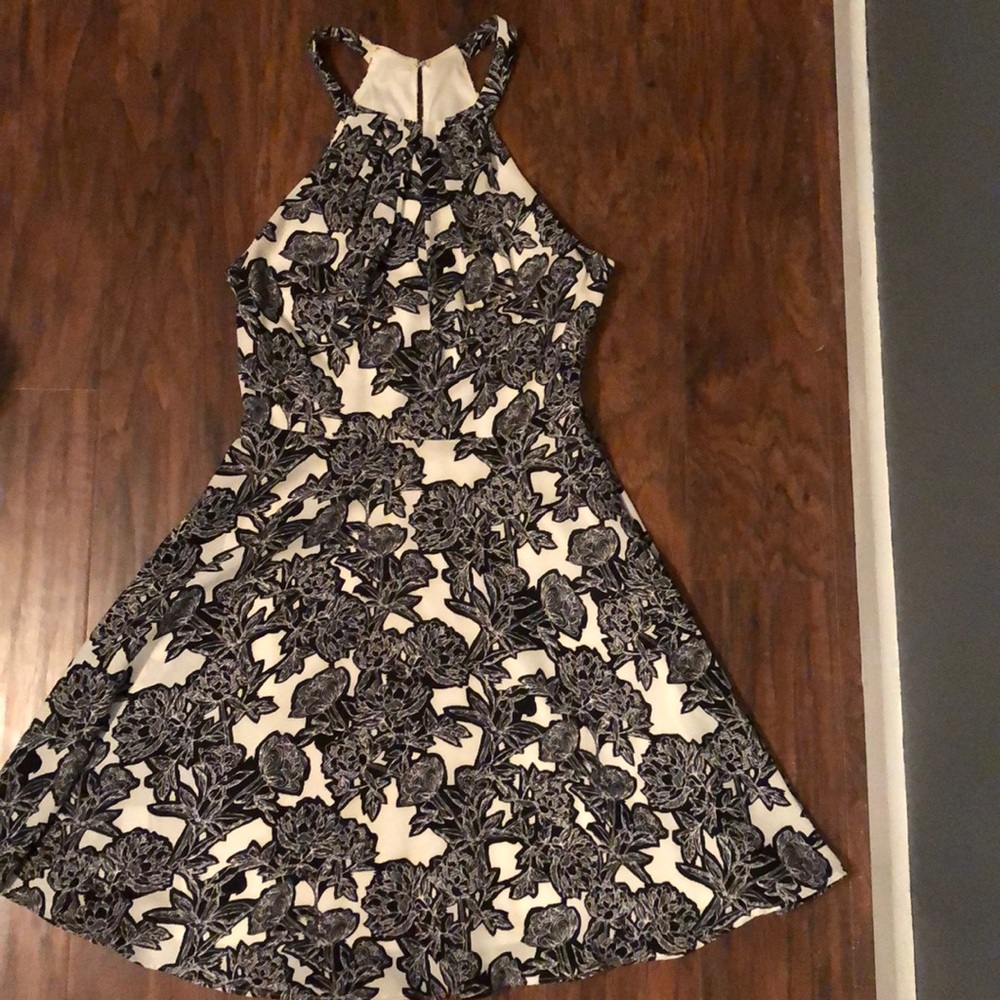 Express Skater Dress